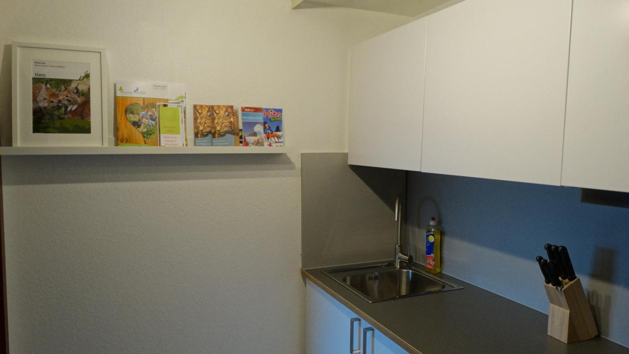 Bergziege Appartement Braunlage Buitenkant foto