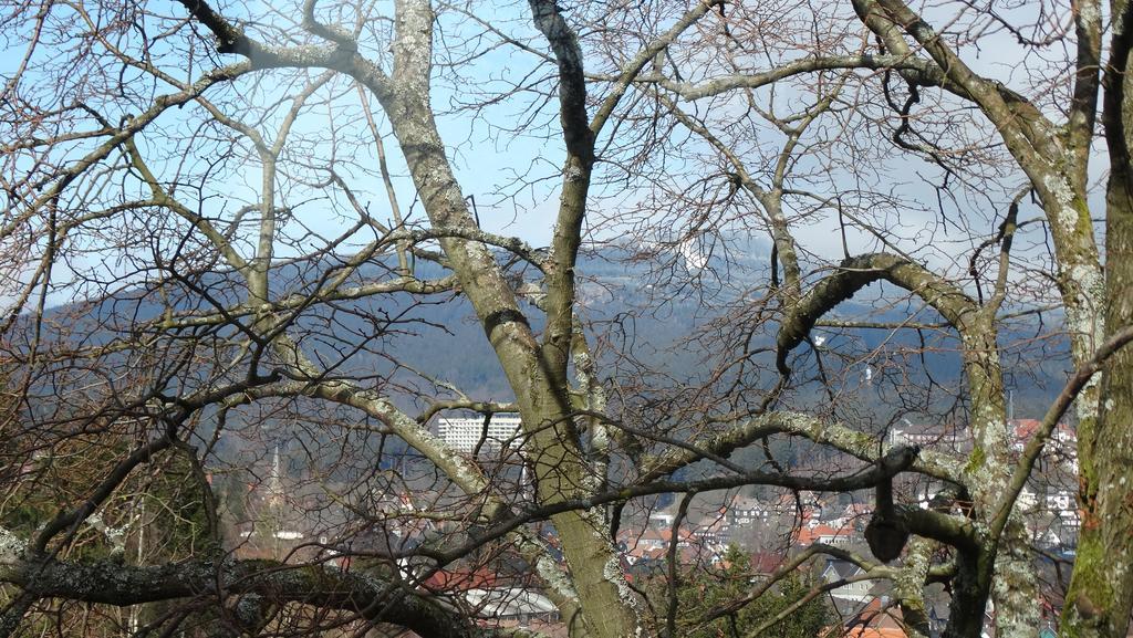 Bergziege Appartement Braunlage Buitenkant foto